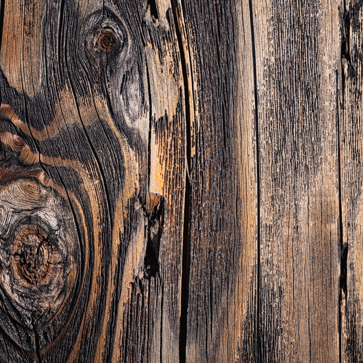 Dark Wood