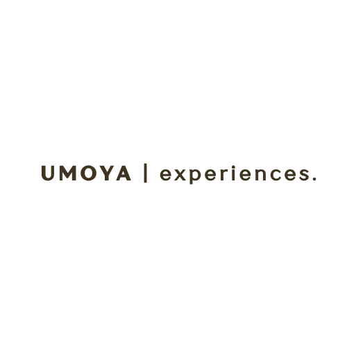 Experiences