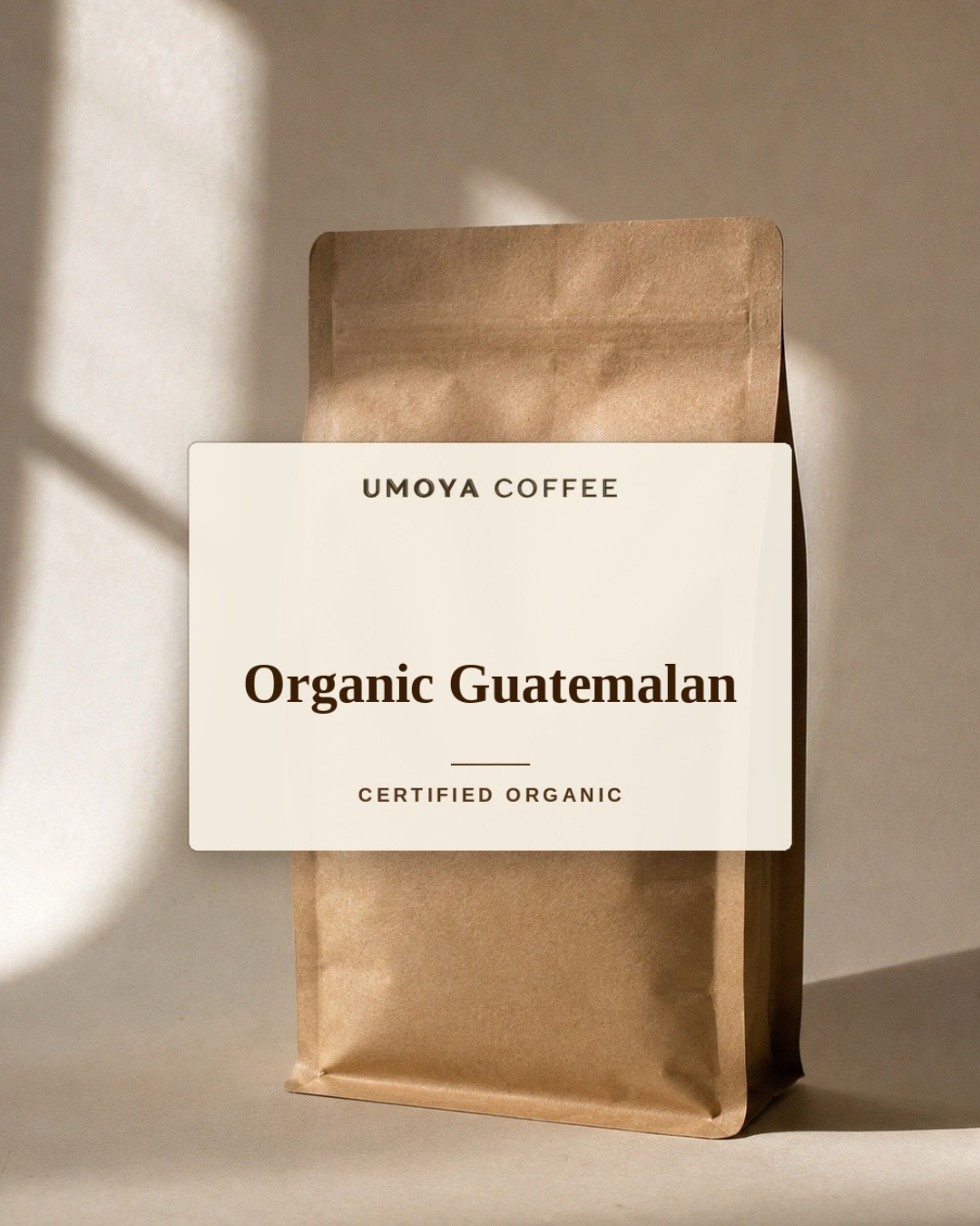 Organic Guatemalan coffee bag